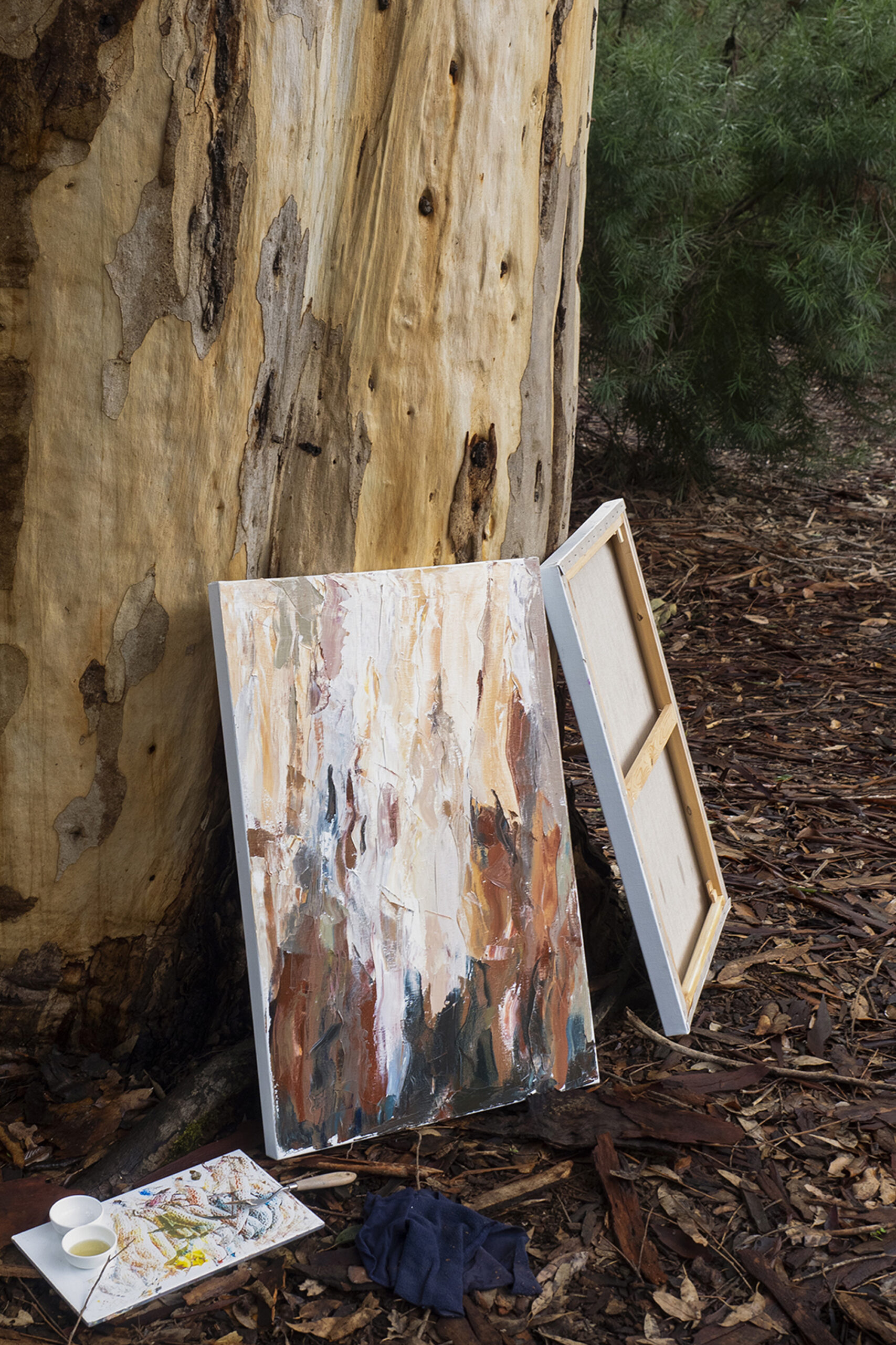 A photo of a painting leaning on a Karri tree, work in progress by Jane Coffey, 2022 Donnelly Verandah Residencies